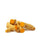 Turmeric Root